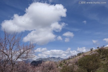 杏花沟