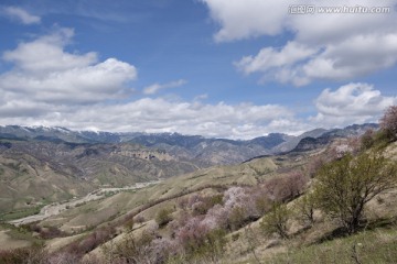 荒山野岭