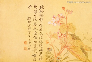 花卉國畫  海堂花