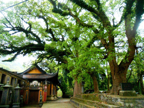 流庆寺