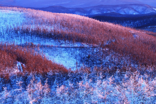 林海雪原夕照