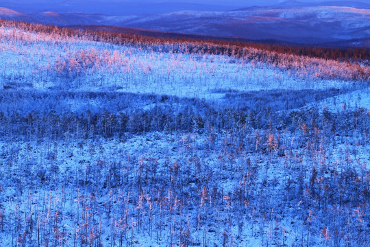 林海雪原夕照