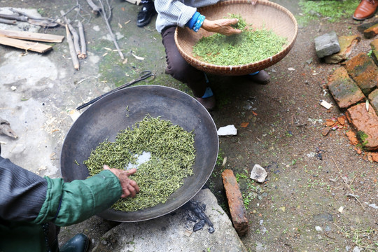 茶叶 炒茶