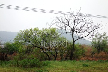 山村雨景