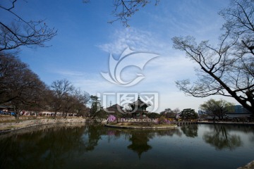 韩国景福宫后花园