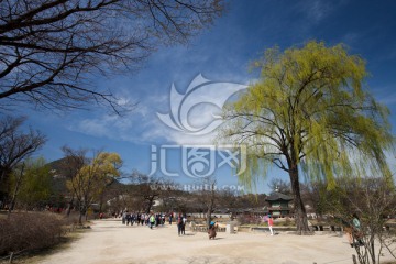 韩国景福宫后花园