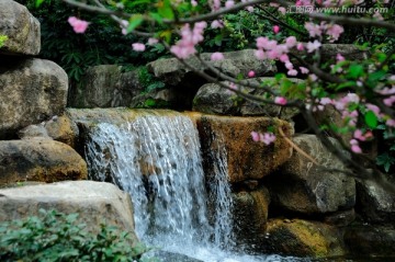 樱花丛中的山泉瀑布