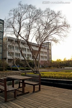 浙江大学紫金港校区东区花圃长椅