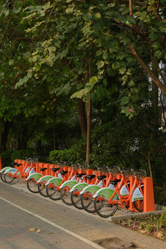 公共自行车 深圳 南山区