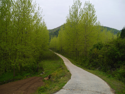 山区公路