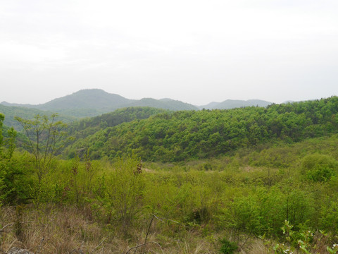 绿色山川