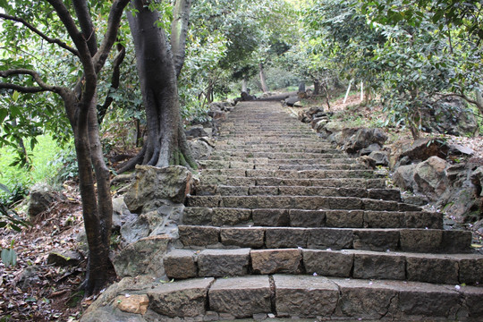 杭州玉皇山