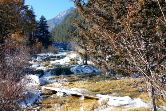 溪流 瀑布 原始森林 九寨沟