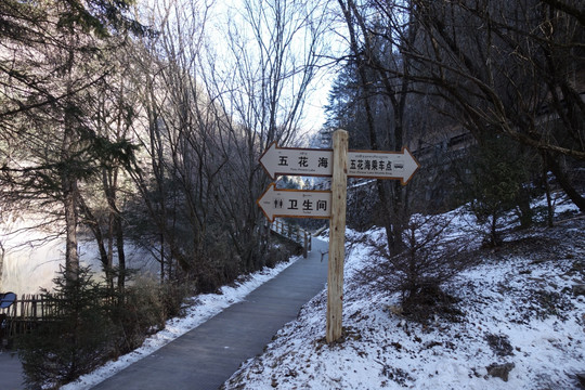 路牌 雪景 小路 原始森林