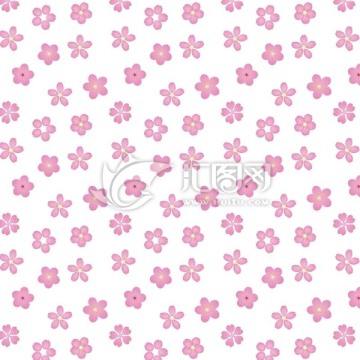 櫻花 花 花瓣 背景