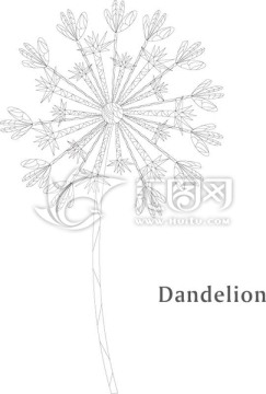 蒲公英 菊花 秘密花園 裝飾畫