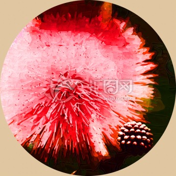 花卉裝飾畫