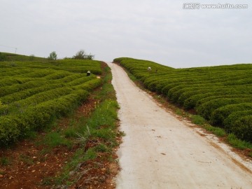 茶山公路