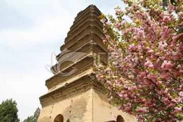 香积寺 塔