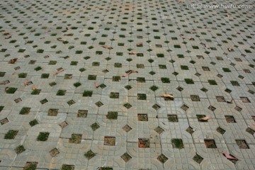 地板 地砖