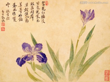 花鳥國畫