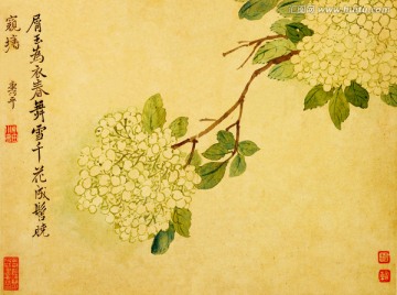 花鳥國畫