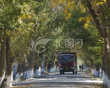 乡村道路