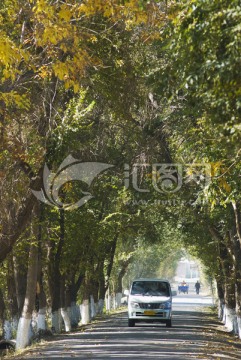 乡村道路