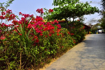 海南蜈支洲岛