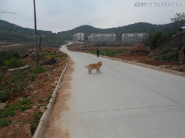 长长的公路