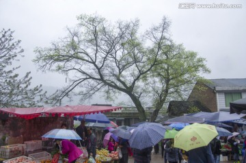 沐川底堡