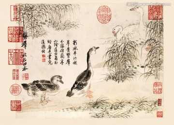 花鳥山水國畫