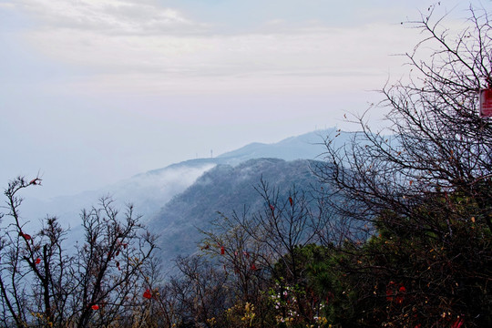 雨后的香山