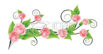 玫瑰 花紋 花藤
