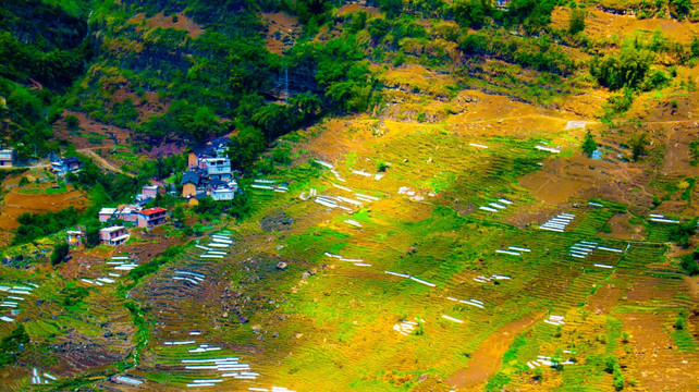 村庄  田地