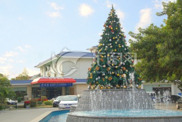 庭院园林喷泉 圣诞树