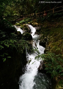 重庆 黑山谷