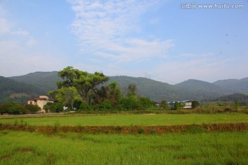 山区田园