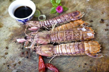 熟的皮皮虾 虾爬子