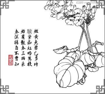 報(bào)春花