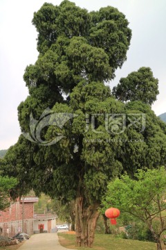 黄竹岭 贺子珍故居