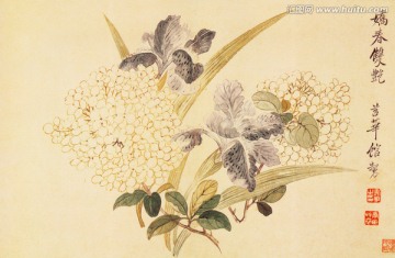 花草水墨國畫 惲南田高清掃描件