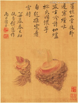花草水墨國畫 惲南田高清掃描件