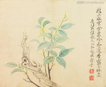 桂花水墨國畫 惲南田高清掃描件