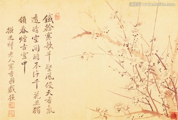 花草水墨國畫 惲南田高清掃描件