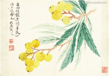 花草水墨国画 恽南田高清扫描件