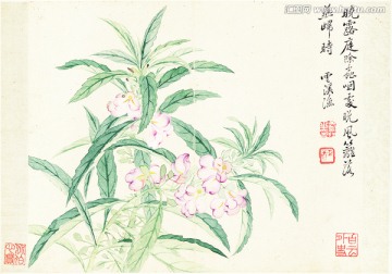 花草水墨国画 恽南田高清扫描件