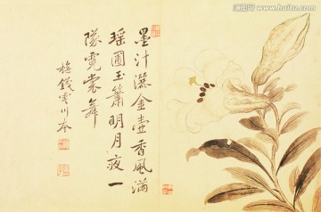 花草山水國畫 惲南田高清掃描件