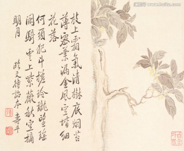 花草山水國畫 惲南田高清掃描件
