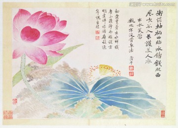 荷花國畫 惲南田高清掃描件